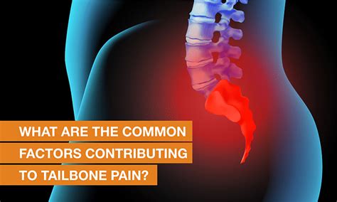 Tailbone Pain Treatment Causes And Diagnosis QI Spine