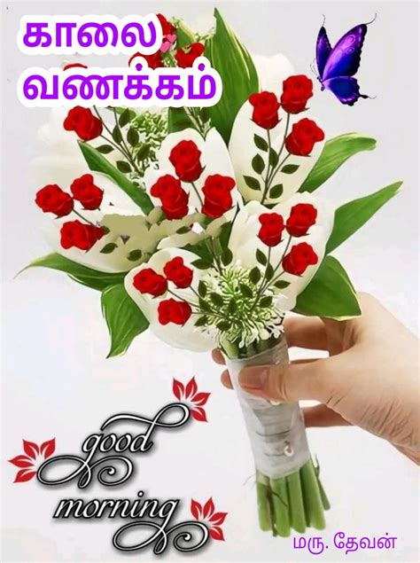 100 Best Images 2023 அன்புடன் இனிய காலை வணக்கம் 🙏🙏🙏 Whatsapp