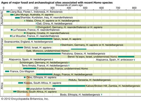 Human evolution - Emergence, Homo Sapiens, Bipedalism | Britannica