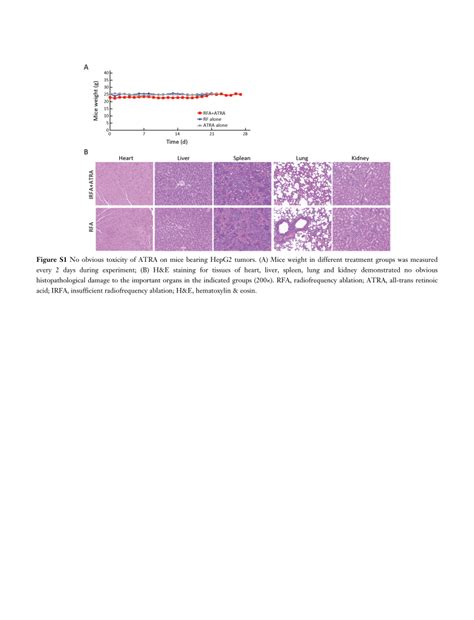 PDF All Trans Retinoic Acid ATRA Inhibits Insufficient