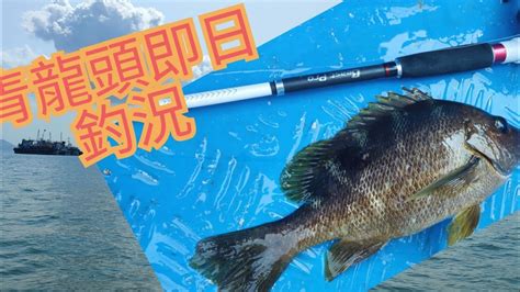 香港釣魚船釣青龍頭釣厹日5 50米都係佢 Youtube