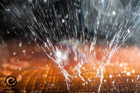 Macro Photography Up Close With The Seattle Rain Equal Motion