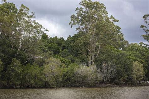 River Brisbane Sky - Free photo on Pixabay - Pixabay