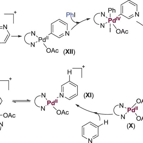 Pdf Distant C H Activation Functionalization A New Horizon Of