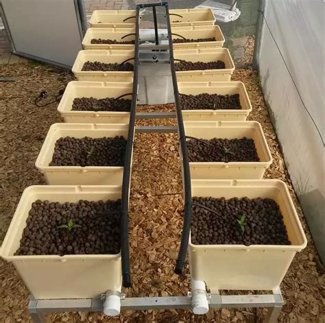 Skyplant Planting Dutch Bucket Hydroponics Growing System Supplier