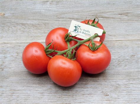 Tomate Grappe Rabelais Noah Primeurs