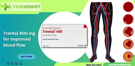 Trental Mg Enhance Blood Flow Manage Vascular Health