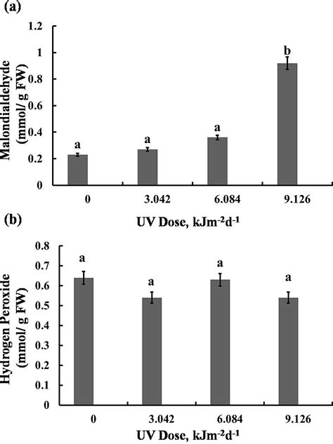 Physiological And Biochemical Responses Of Sugar Beet Beta Vulgaris L