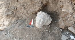 World S Oldest Pearl Discovered On Marawah Island Of Abu Dhabi Haberi