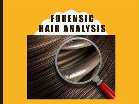 Forensic Science Hair Analysis