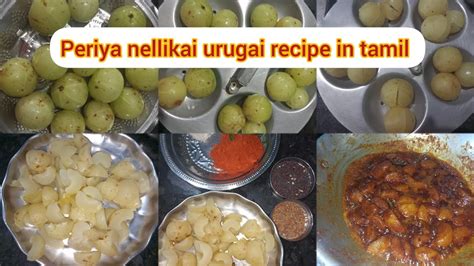 periya nellikai urugai recipe in tamil gooseberry pickle பரய