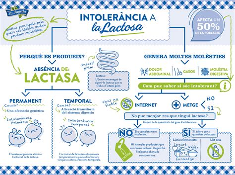 Todo Lo Que Necesitas Saber Para Mejorar La Intolerancia A La Lactosa