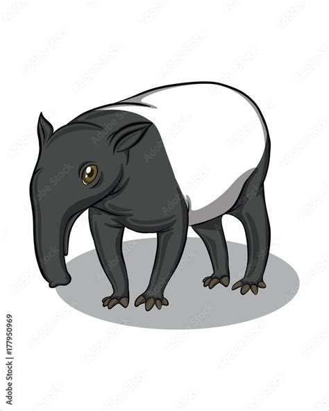 Tapir Drawing