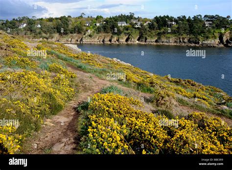 Riec-sur-Belon, Belon river Finistere Bretagne Brittany France Stock Photo - Alamy