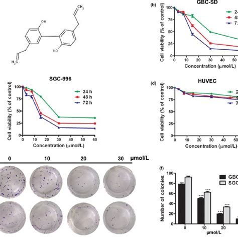 Magnolol Inhibits Cell Proliferation And Colony Formation In