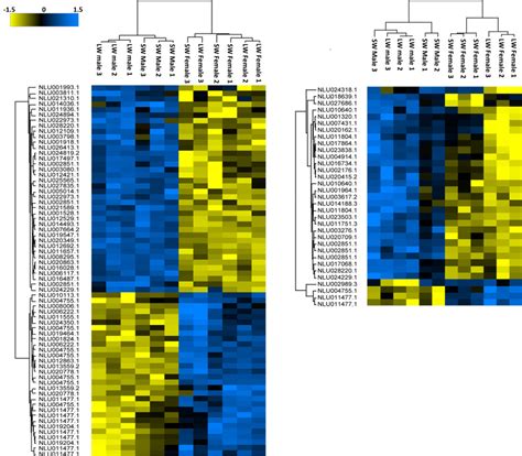 Heatmap Of Sex Specific Glycopeptides Download Scientific Diagram