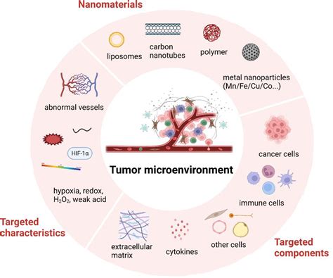 Frontiers Editorial Tumor Microenvironment Targeted Nanomedicine A