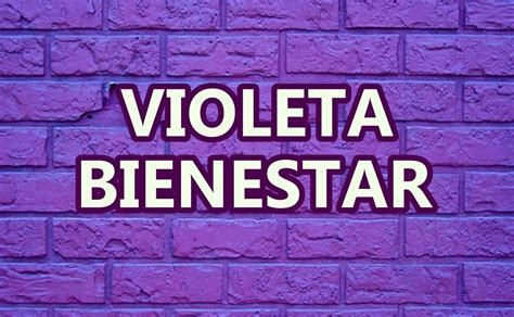 Tarjeta Violeta Bienestar Paso A Paso Para Registro Julio