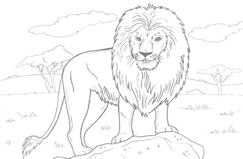 African Lion Face Coloring Sheet Coloring Pages