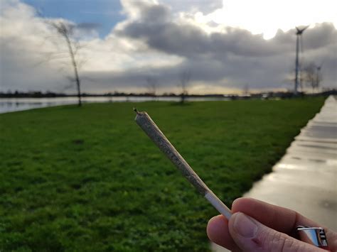 Canadian weed, Amsterdam coffeeshop, dutch scenery. Happy man. : r/weed