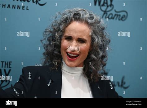 Photo by: NDZ/STAR MAX/IPx 2023 1/11/23 Andie MacDowell at 'The Way ...