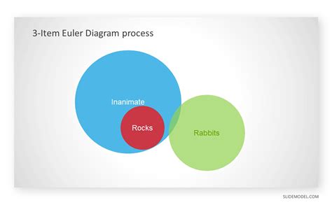 What Is An Euler Diagram And How To Make One Step By Step Guide