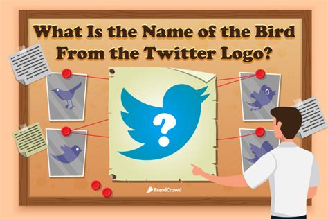 What Is the Name of the Bird From the Twitter Logo? | BrandCrowd blog