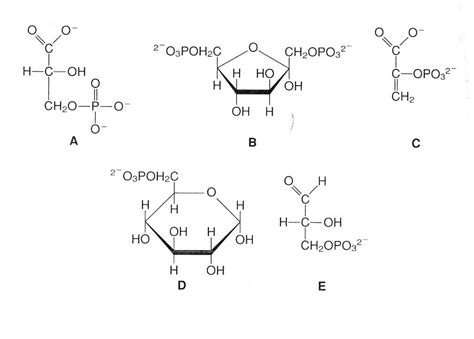 Solved Examine The Following Chemical Structures Of Five Of Chegg