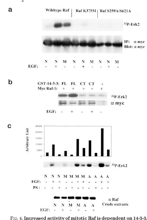 raf mekmapk pathway     gm transition