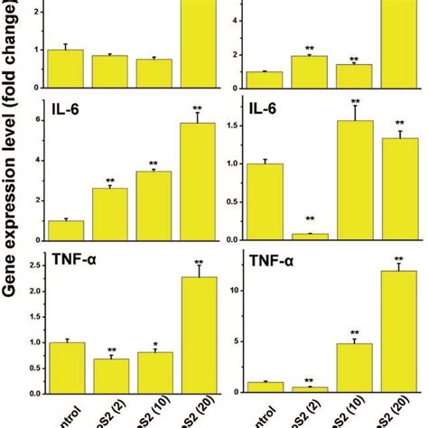 Gene expression levels of IL 1β IL 6 and TNF α in gill and liver