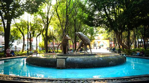 Coyoacán Park, Mexico City, Mexico – Park Review | Condé Nast Traveler