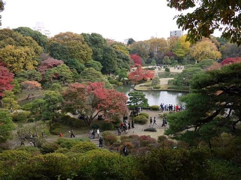 Сад Рикугиэн в Японии (Rikugien garden) | Landscape, Landscape design ...