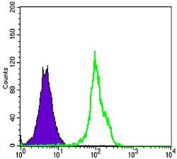 BLK Antibody Purified Mouse Monoclonal Antibody WB FC ICC E Buy Now