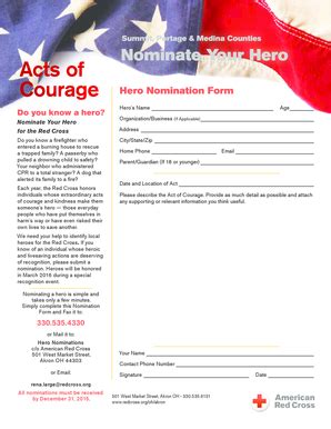 Fillable Online Redcross Hero Nomination Form Redcross Fax Email