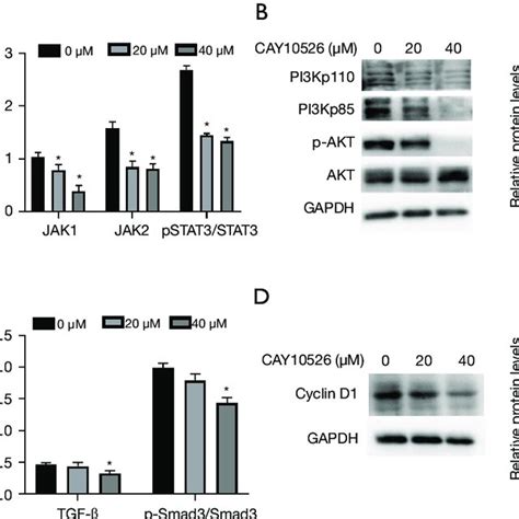 Schematical Interplay Of Mpges Pge And Jak Stat Tgf Smad And