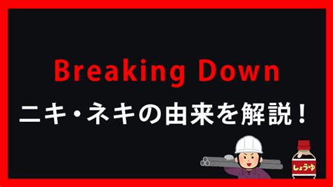 【ブレイキングダウン】出場ニキ・ネキの意味と由来をまとめて解説【一覧】 稼げるオンラインカジノランキング