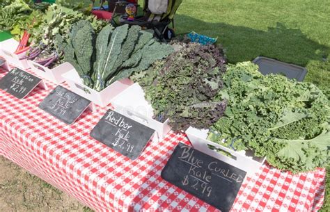 Organic Produce at Farmers Market Stock Photo - Image of vegetable ...