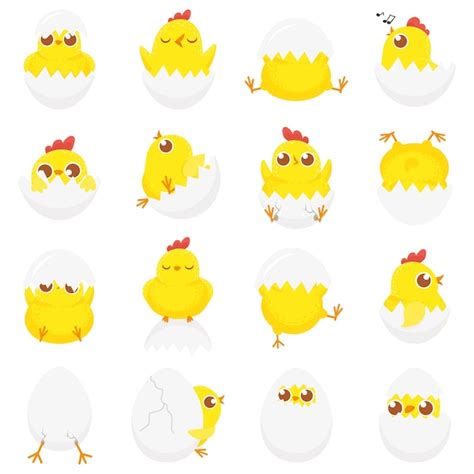 Premium Vector Cute Chicken In Egg Easter Baby Chick Newborn