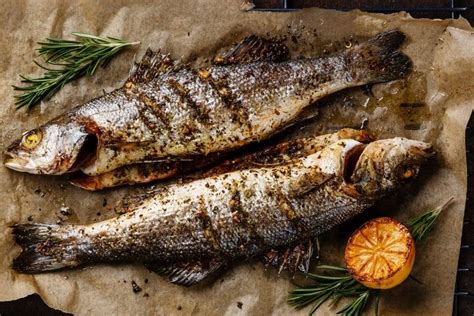 Melhores peixes de água doce para comer conheça 17 tipos