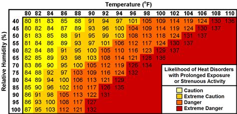 Forecast Hourly Weather Graphs