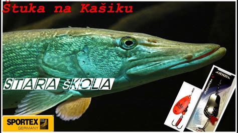 STARA ŠKOLA ŠTUKA NA KAŠIKARU KANAL PECANJE RIBOLOV PIKE FISHING