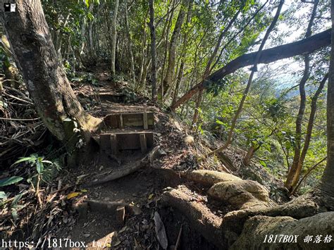 【苗栗。泰安】鳥嘴山登山步道上島山。林相優美。水雲三星之一 1817box部落格