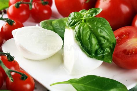 Mozzarella Traditional Italian Food White Ball Mozzarella Buffalo