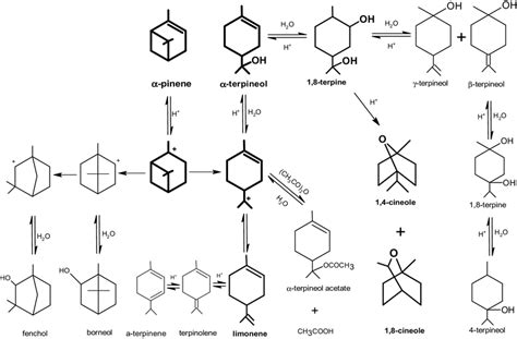 Schematic Figure Of Possible Reactions In Acid Catalyzed Hydration Of Download Scientific