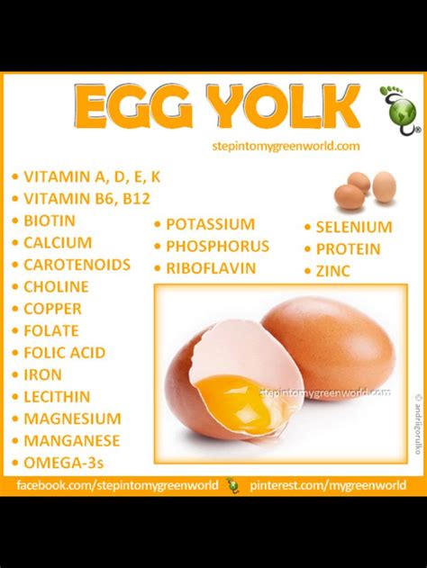 Benefits Of Eating Eggs Eat The Yolk People Benefits Of Eating Eggs Egg Benefits