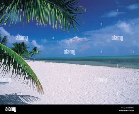 Key West Florida Usa Stock Photo Alamy