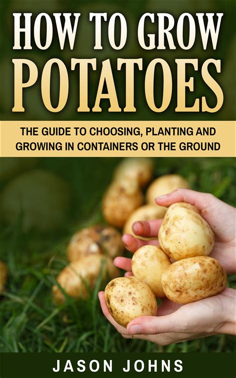 How To Grow Potatoes At Home A Complete Guide For Beginners Newsely