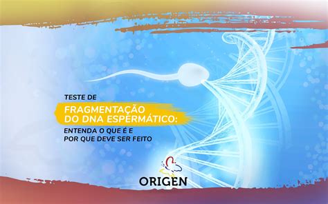 Teste De Fragmentação Do Dna Espermático Entenda O Que é E Por Que