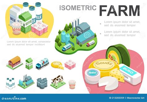 Isometric Dairy Cattle Set Farmer Collecting Milk At His Dairy Farm