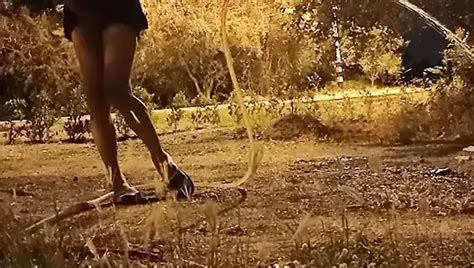 Mena Free Gay Hd Videos Hd Porn Video F Xhamster